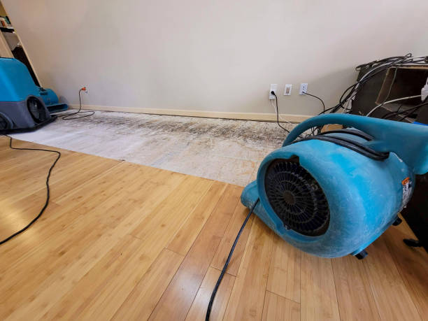 Professional Water Extraction technician working in Lathrop, MO